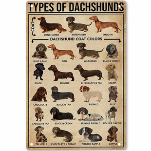 Dachshund breed and color chart tin painting pet lovers wall decoration