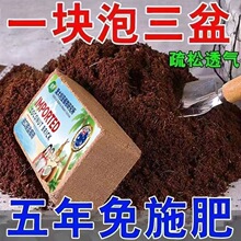 海南正宗养花种菜必备椰砖大块脱盐通用型椰糠粗椰壳无盐无菌土椰