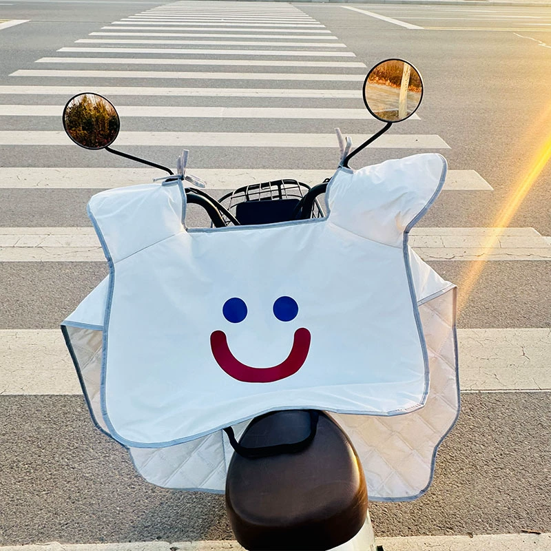 Windproof summer thin waterproof electric car, sun protection