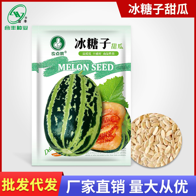 冰糖子甜瓜种子 绿皮红壤香瓜种籽瓜种孑水果蔬菜籽源头厂家批发