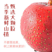 ɽƬ400gԭlƤɽ髶ɽ髗lƷˮ