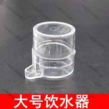 蟋蟀蛐蛐水盂饭板通用鸣虫喂水喂食水槽水浅方便两广塑料饮水器