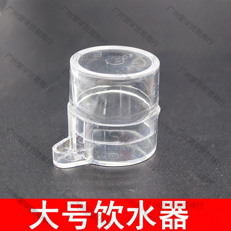蟋蟀蛐蛐水盂饭板通用鸣虫喂水喂食水槽水浅方便两广塑料饮水器
