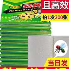 佰凌粘蝇纸高品质苍蝇贴 诱捕粘蝇板含诱饵粘飞虫板工厂批发