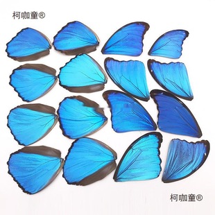 �����Ӻ������˱�diy���ϴ��{�W���g��Ů����ᮋ�W������̫��