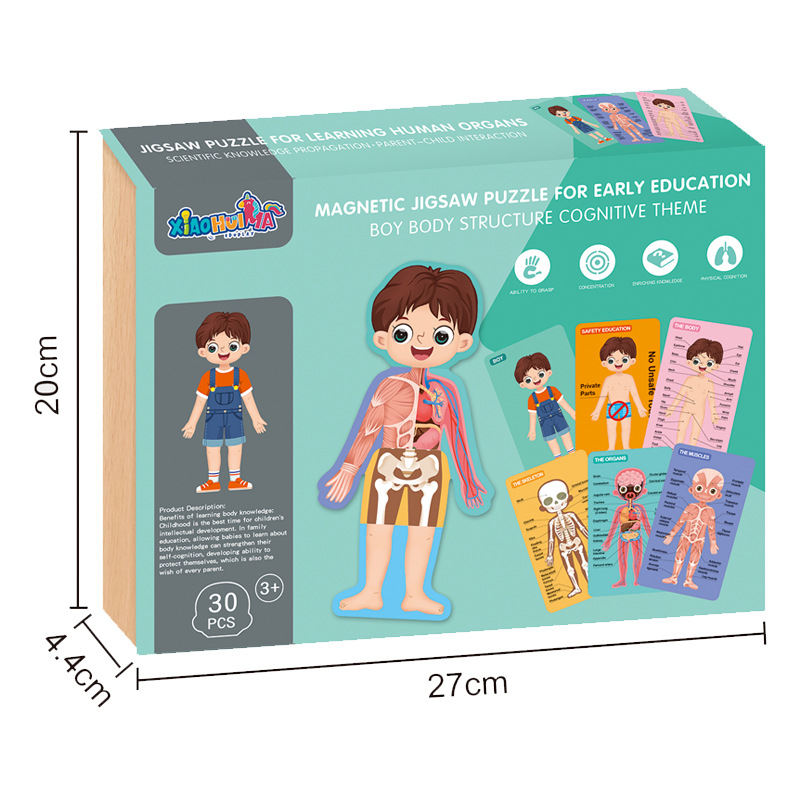 Niños Qizhi órgano del cuerpo plano de succión magnética rompecabezas niño combinación de la estructura del cuerpo rompecabezas magnético libro de graffiti