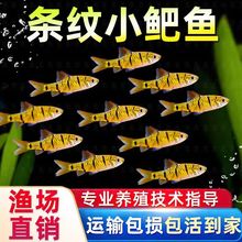 С?~Ї~HlyС?ˮԭ~ͺˮС~Ⱥ^p~