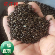 l@־GN S𻨻NͥԺ@G^pN