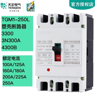 Tianzheng Tgm1-250L/3300 4300 Circuit Breaker Air Switch 380 Three-Phase 160A225A200A250A