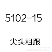 尖头女秋鞋 单鞋  大码加宽加肥女鞋414243 31 32 33【5102-15】