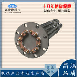 空气干烧不锈钢电加热管 液体法兰加热管 电锅炉导热油发热管