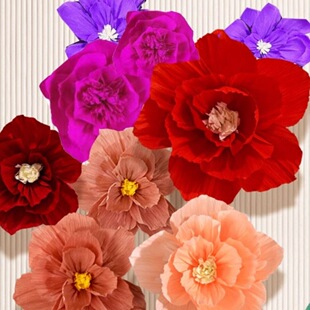 ���y����20/25/30cm���w���Y��Y���g�����Ɍ��WУ����b�