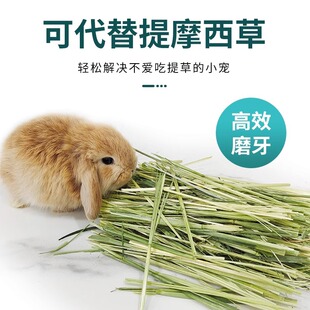 ��������������������؈�ɲ��S��������500g���w�۾G���øɲ����