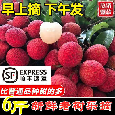 SF cold chain 22 Litchi fresh fruit Feizixiao Season 6 Full container Glutinous rice dumplings