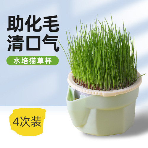 Sensen cat grass cup potted wheat rye nursery cup soilless water cultured dog grass kitten mint lazy self-sown