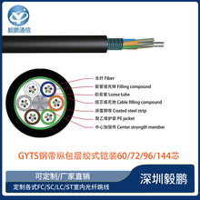 GYTS䓎��v���ӽgʽ �z�b12/24/36/48/60/72/96/144о ������|