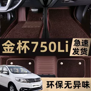 Suitable for 15/16/17/18/19 years old and new brilliance jinbei 750Li car mats surrounded by MPV7 seats