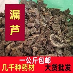 ©�J��ș��1000��©�J��Ƭ��Ʒ�e��©�J���^��Ұ�m��������؛©�J