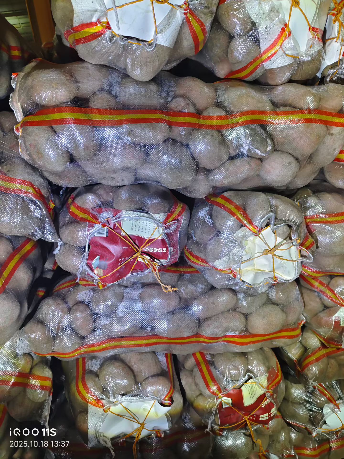 微信图片_20251107112337_56_567