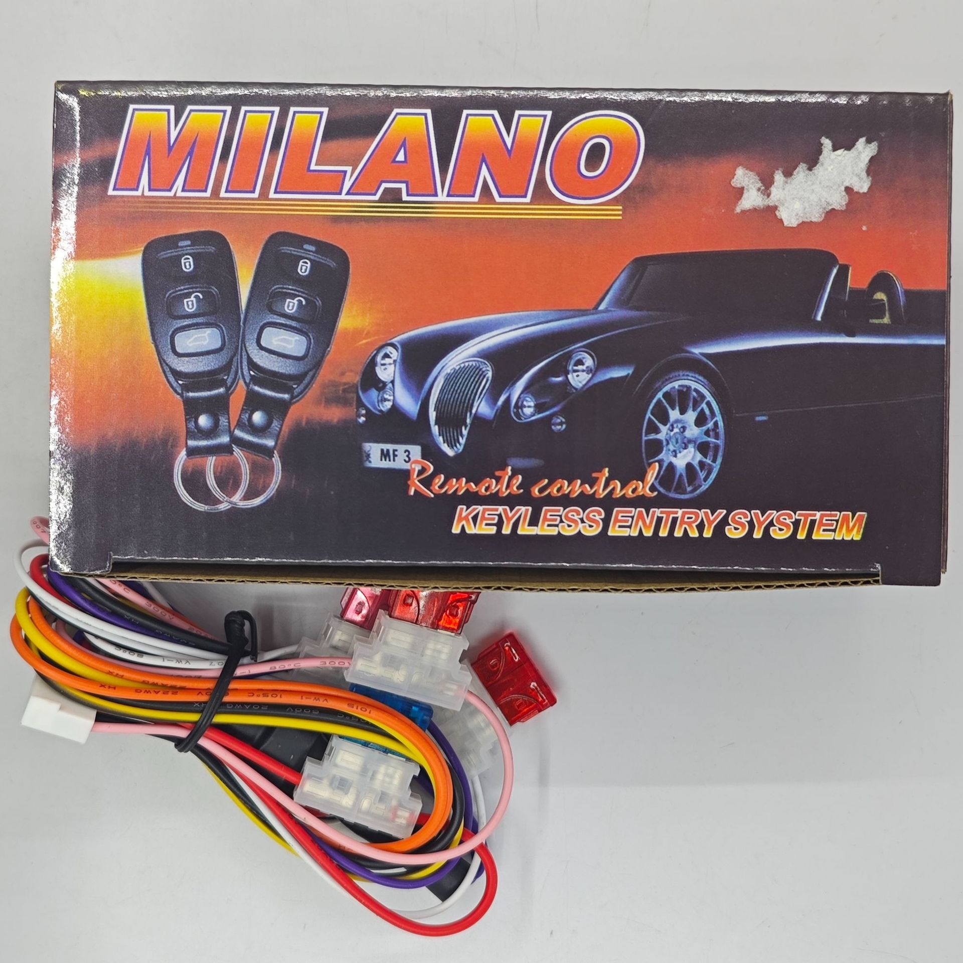 Car anti-theft device, remote control for central locking, remote control switch, keyless entry