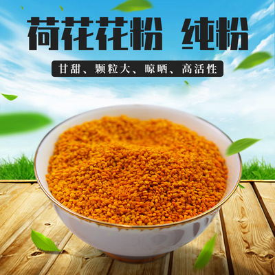 卓宇出口品質 批發現貨 色亮味正 精選顆粒飽滿/破壁120目荷花粉