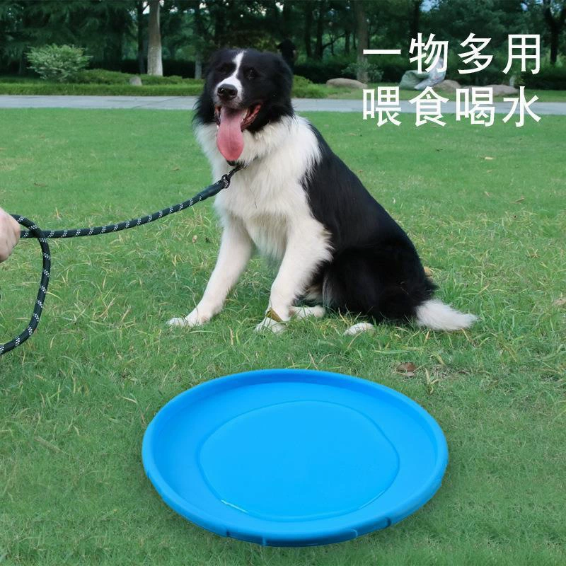 Toy, silicone frisbee for training, pet