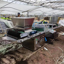 ȫ�Ԅ�Ѩ�P���N�C�߲˻���ș��С����ˮ���������ʽ�LͲʽ���N