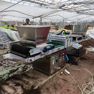 农田粮食种子育秧机滚筒式穴盘播种机全自动铺土压穴播种一体机