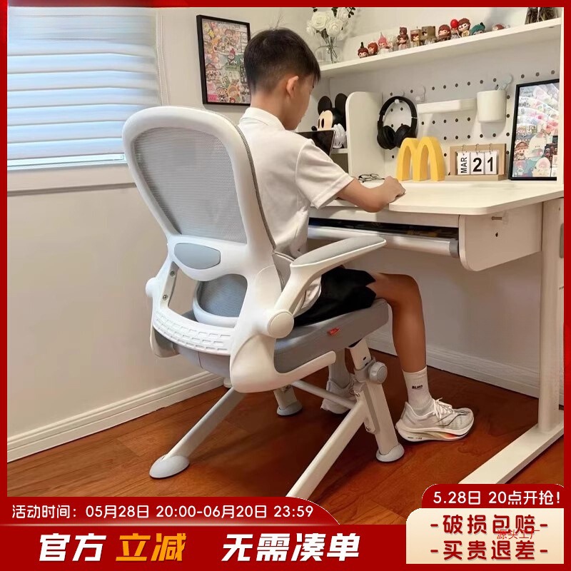 Children's Study Chair, Special Writing Desk and Chair for Middle and High School Students, Liftable Computer Chair, Home Dormitory Desk Chair
