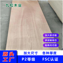 Ӵzϰ  о Nһо  P2ȼ FSCJC