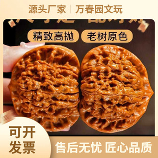 Դ�^���]������Ұ���{���^���¹�ñ�������Ϙ�ԭɫ