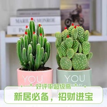 �f��ɽ�����ƶ���ֲ���С���Ծ�ؔɽ�҃ȿ͏d�k��������Gֲ