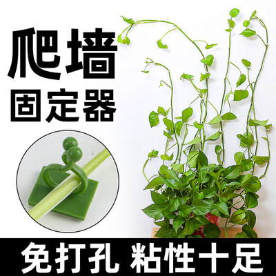 Scindapsus Climb the wall Artifact Retainer Green plant Climbing Clamp No trace wall Hooks Strength Climbing