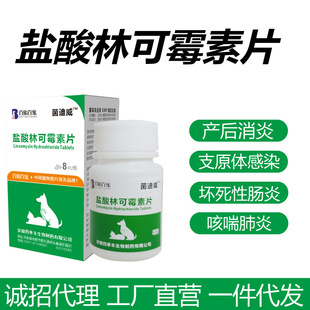 ����Ƥ�w��؈����׌���a����֢�������֧ԭ�w�����}���ֿ�ù��
