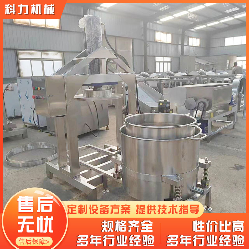 水果自动榨汁机压榨机 雪梨汁压榨设备 杨梅树莓汁压榨机