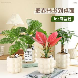 ���WINS�L�����҃�С���ԃ����՚������k���ҾGֲ�ļ��������ȩ