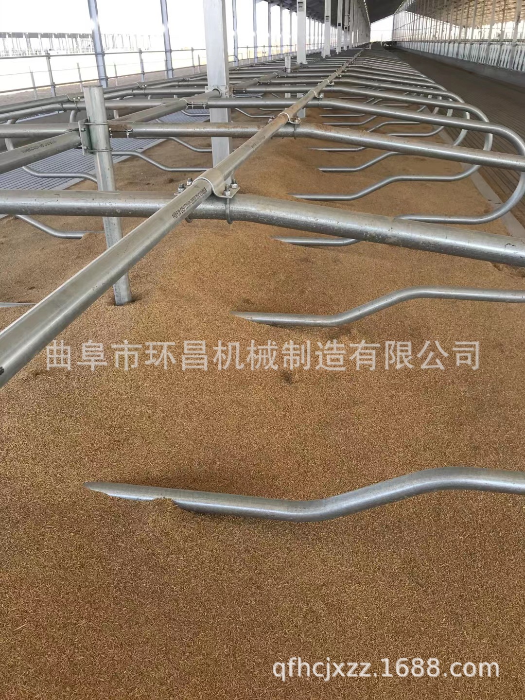 奶牛休息臥床 牛臥床 牛臥欄 牛頸夾  雙面牛臥床畜牧養殖設備