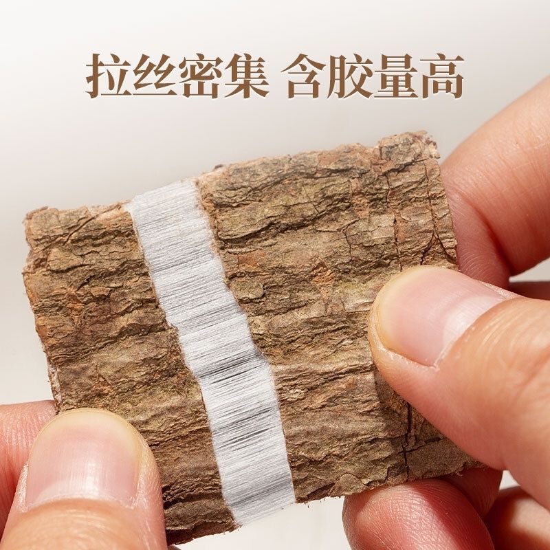 Dried Eucommia Bark Du Zhong 100g Bottle TCM Herbal Tea and Decoction Ingredient preparation