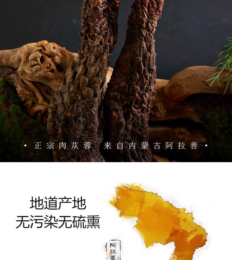 Dried Cistanche Deserticola Root Whole Stick 100g Rou Cong Rong for Herbal Wine and Soup key features