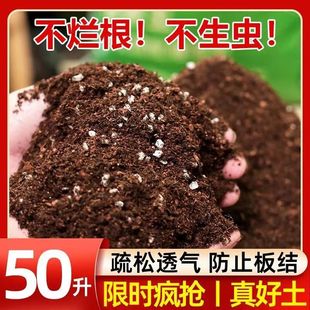Neutral Peat Nutrient Soil 50 Liters Large Bag Flower and Vegetable Soil for Seedling Cultivation and Succulent Special Soil Green Plant Soil Organic Soil