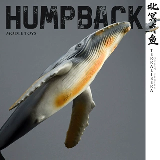 跨境仿真海洋动物模型鲸鱼座头鲸山海经海底生物世界科教玩具手办