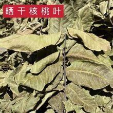 【核桃叶】中药材晒干核桃叶 野采山核桃叶 老核桃叶