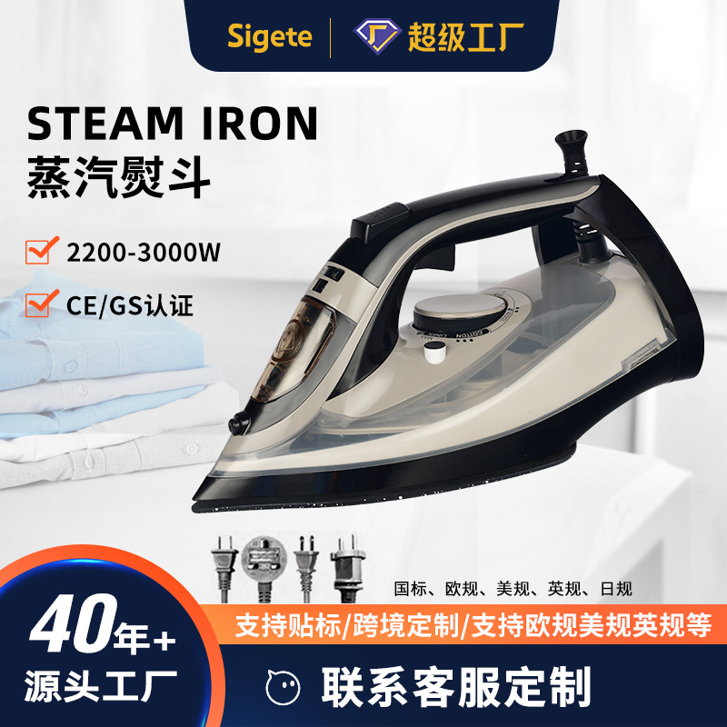 Hl-8019 High-Power Electric Iron Steam Ironing Machine for Home and Commercial Use, Dry and Wet Dual-Use, Export and Cross-Border, Customizable