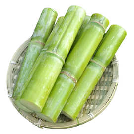 浙江陶山甘蔗产地直发当季青皮甘蔗顺丰包邮新鲜水果甘蔗一件代发