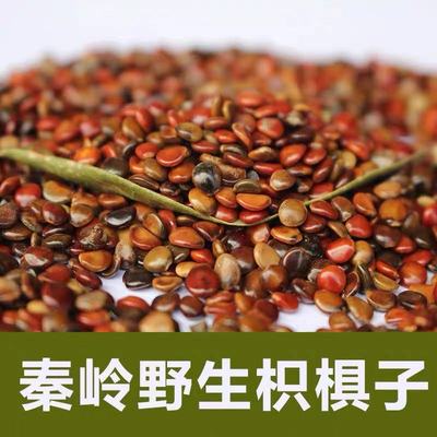 徽信远道地中药材不熏硫磺枳椇子