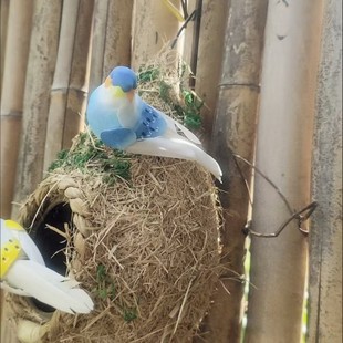 �B�C�b������C�ֹ��������С�B��ʽ�B��ֲ�ﾰ�^���