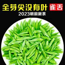 雀舌绿茶2023新茶全芽头 嫩芽明前毛尖散装贵州高山云雾茶叶