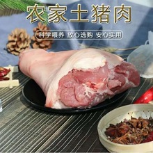 生鲜猪脚圈带筋猪蹄块小肘子免切新鲜猪蹄冷冻肉类食品猪肉批发