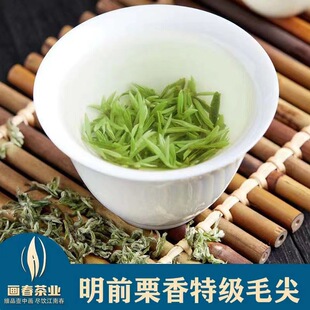 2026���^���^������ζ�ֹ�����ë����~��ɽ��F�G�����l�r