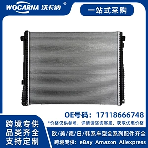 17118666748 Brand new radiator for BMW G20/G28